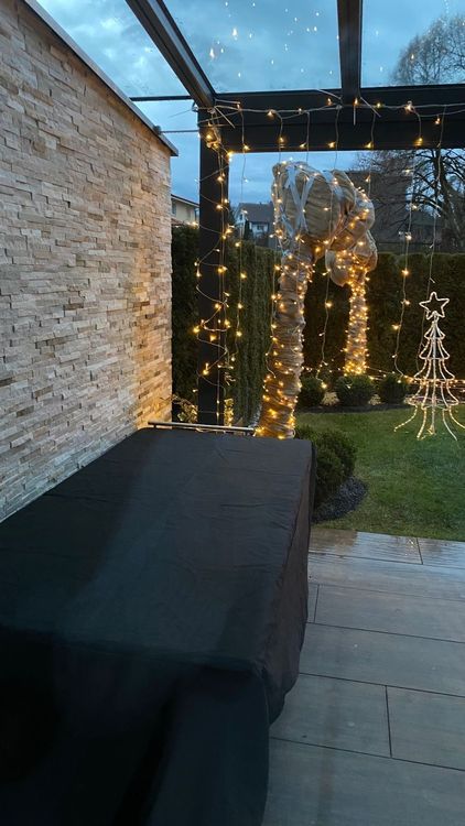 Weihnachtsbeleuchtung für den Garten Kaufen auf Ricardo