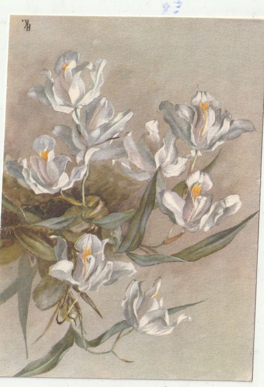 Ansichtskarten: Blumenkarte – Gebraucht aus Lumbrein von made02