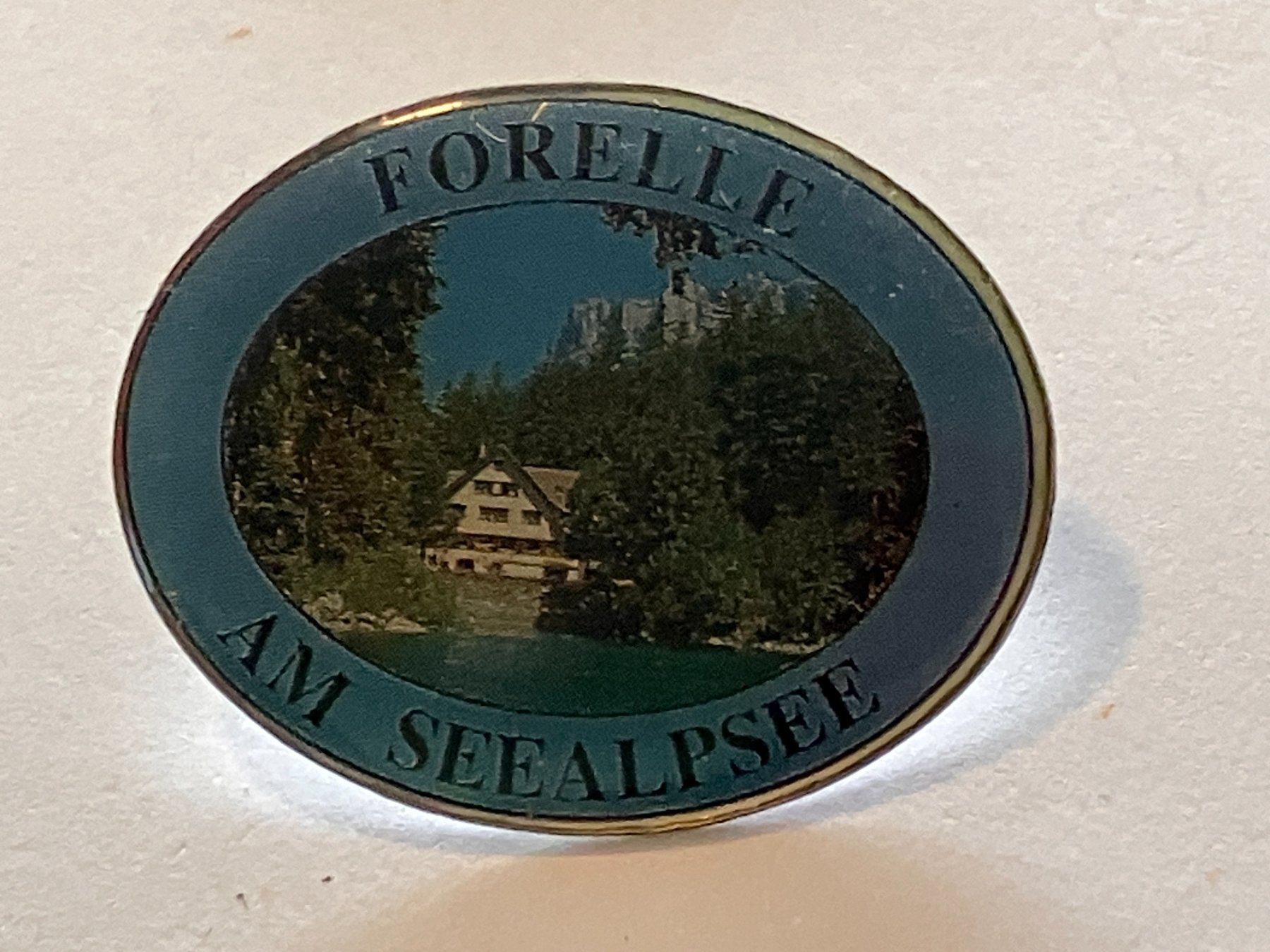 Plaquettes & Badges: 1 Pin Forelle am Seealpsee – D'occasion à Basel par djwwpp