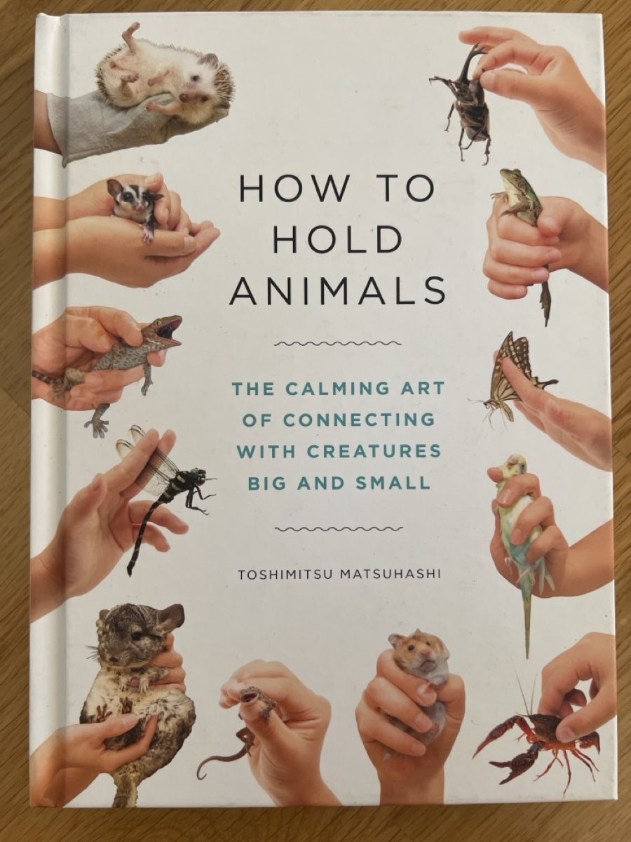 Libri: "How to Hold Animals" Buch – Nuovo (secondo la descrizione) da Basel venduto da clembou