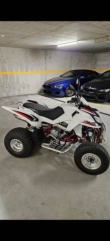 Access Motor ATV / Quad: Access SP450 – Usato da Brunegg venduto da dom_k69f 2