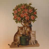 alte Oblade mit 3 Katzen