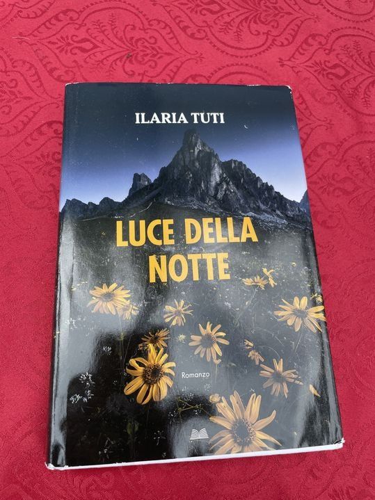 Libri: Luce della notte - Ilaria Tuti – Usato da Bergdietikon venduto da book-4-you