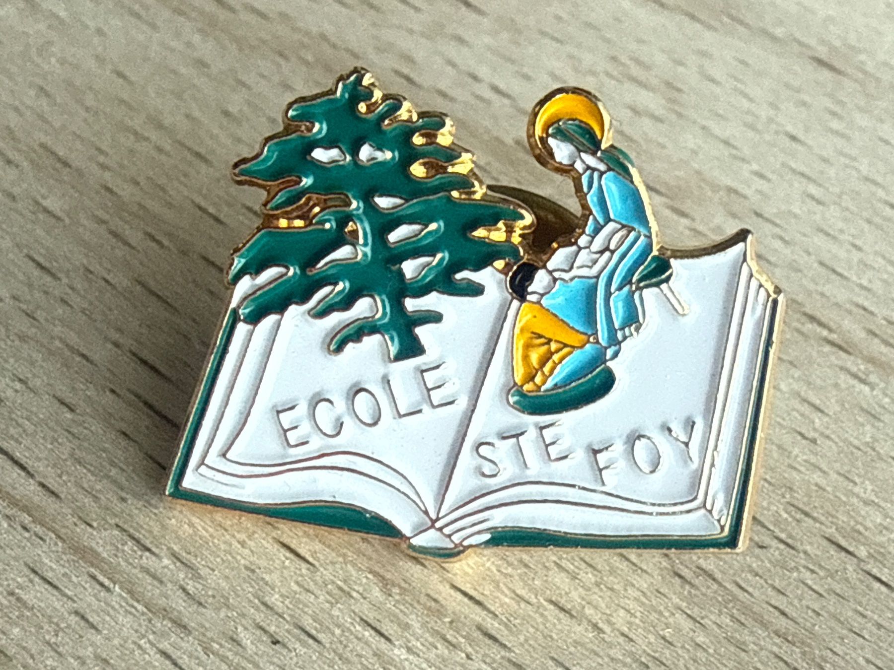 Placchette & Badge: Pin Ecole Ste Foy – Usato da Glattbrugg venduto da Schweigmatt