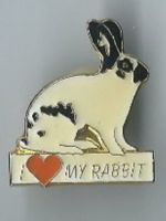 Kaninchen, I love my rabbit , Pin