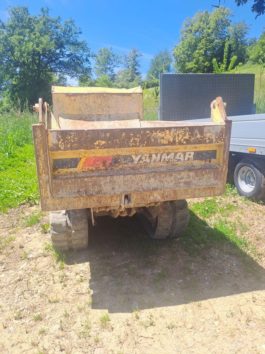 Autoribaltabili: Raupendumper Yannmar – Usato da Neuendorf venduto da Goeggs01 1