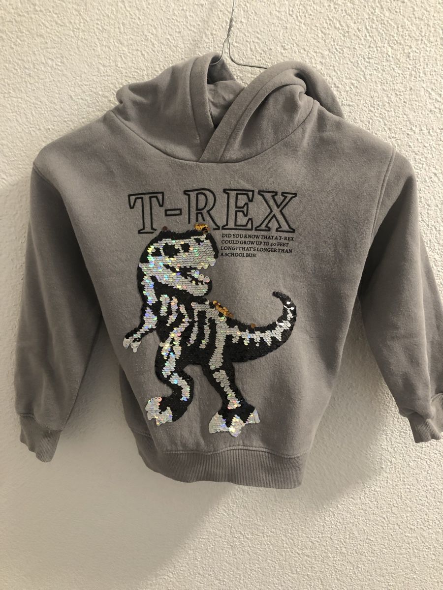 H&M Pullover & Sweatshirts: Kapuzenpulli – Gebraucht aus Solothurn von galinka