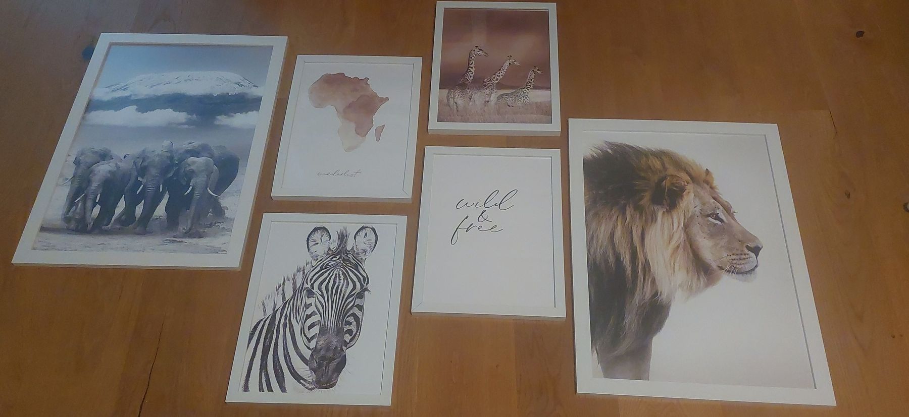 Poster & Bilder: 7er Set Tierbild Kunstdrucke mit Rahmen – Gebraucht aus Dinhard von Sarn02