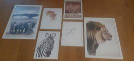 7er Set Tierbild Kunstdrucke mit Rahmen, Top Zustand