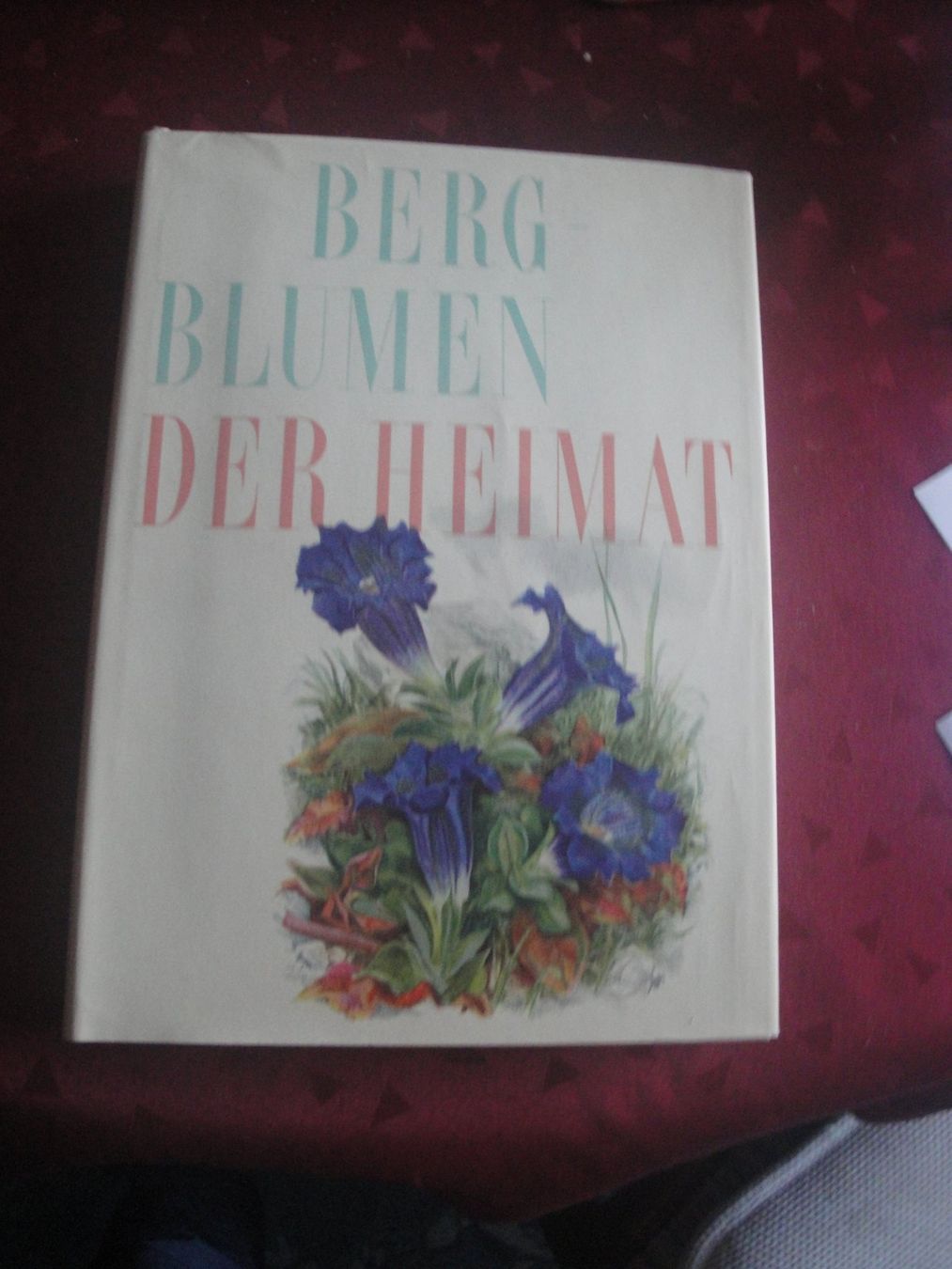 Libri: Bergblumen der Heimat – Nuovo (secondo la descrizione) da Zollikerberg venduto da Kui