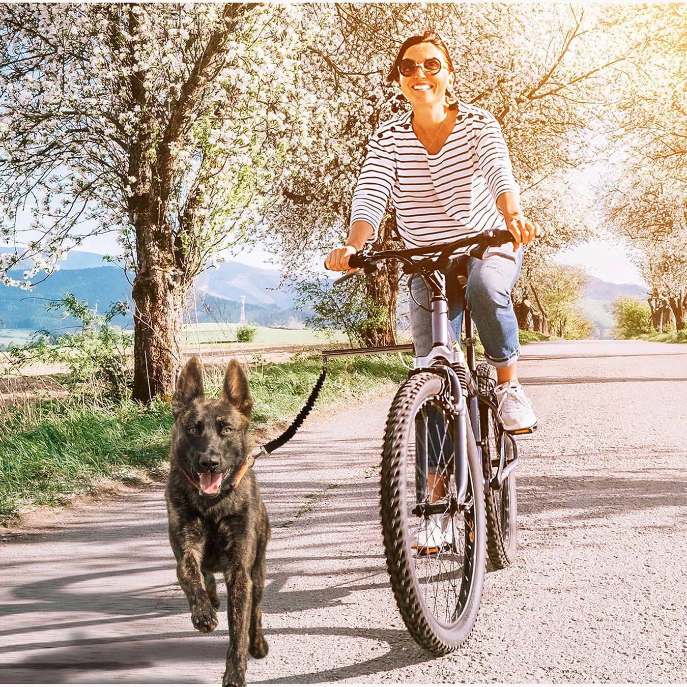Altro in Bricolage: Abstandshalter Fahrrad Hund – Nuovo (secondo la descrizione) da Zürich venduto da Gadgets2020