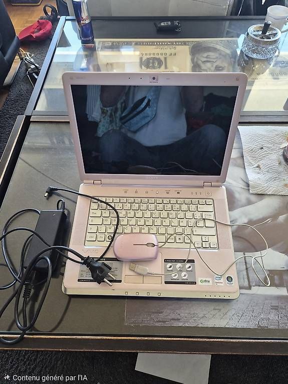 Portables: Sony vaio – D'occasion à Belmont-Lausanne par mastercheck