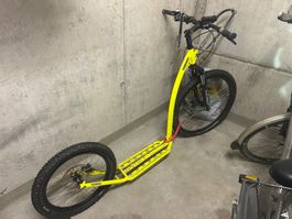 Dog Scooter