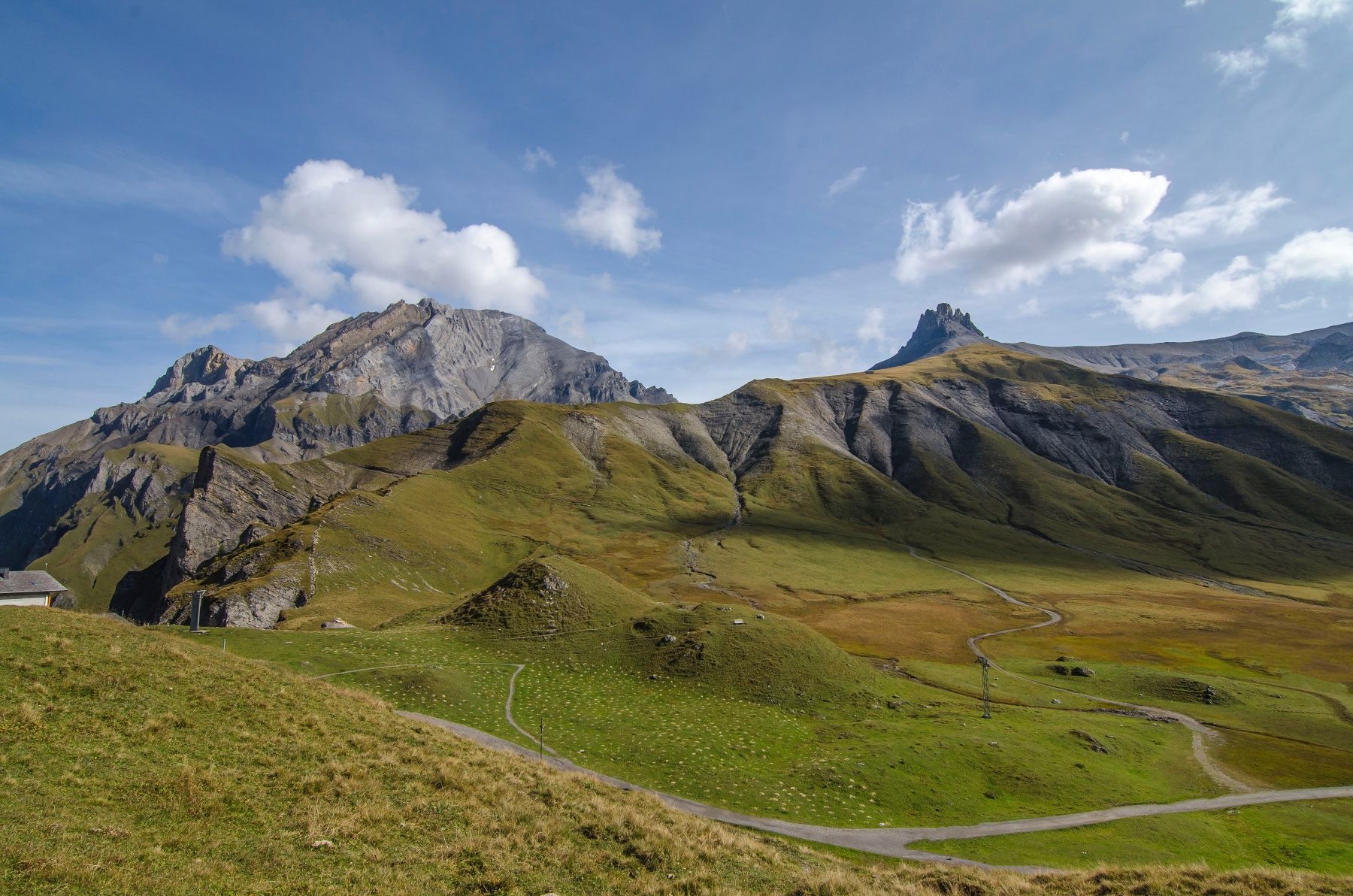 Foto & Immagini: Engstligenalp 2014 - Alu-Dibond – Nuovo e nell'imballaggio originale da Reutigen venduto da cos_t92p