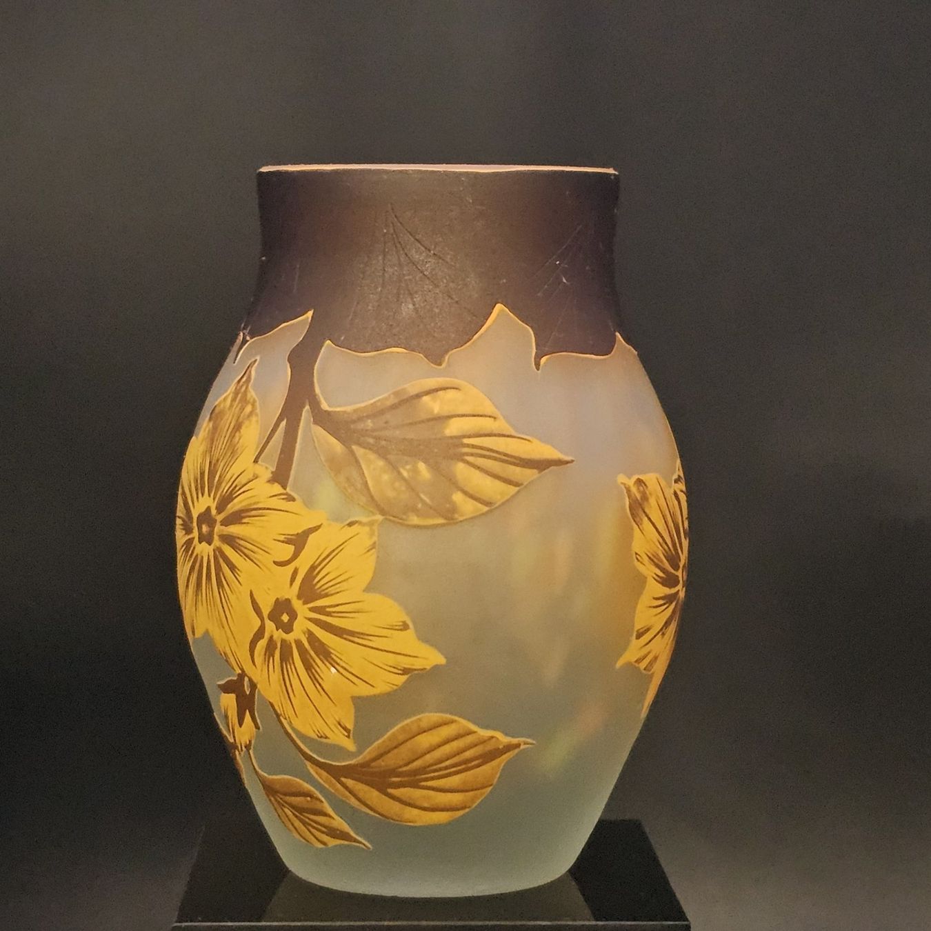 Daum Vasen & Gefässe: Daum Nancy Flowers Acid Etched Cameo – Gebraucht aus Bruettisellen von Collector_Store