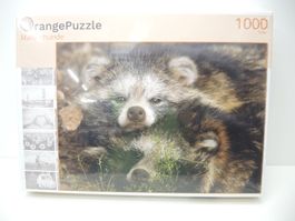 Orange 43 Marderhunde 1000