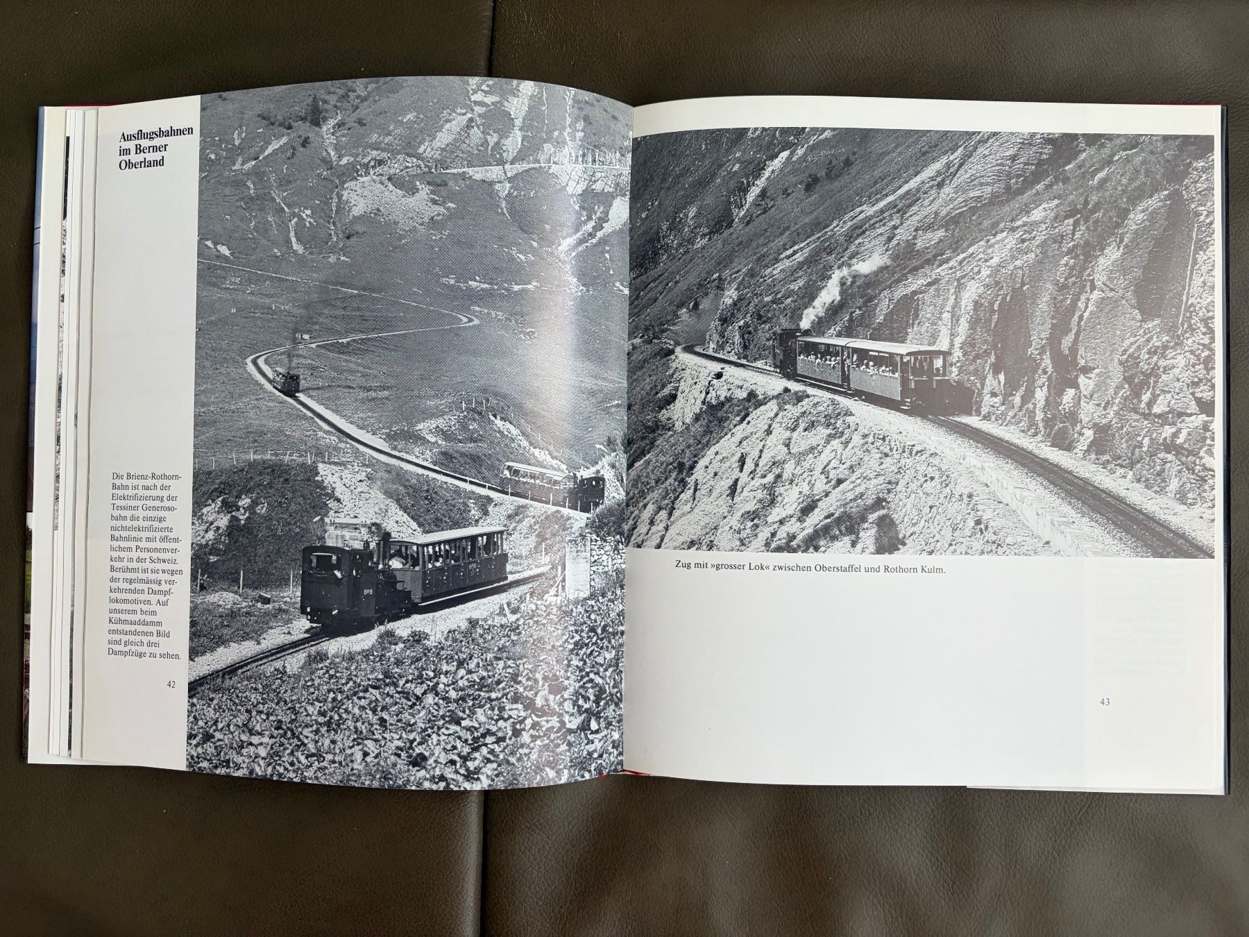 Libri: Buch Schweizer Bahnen. Schweizer Landschaften – Usato da Nunningen venduto da anclaudia 5