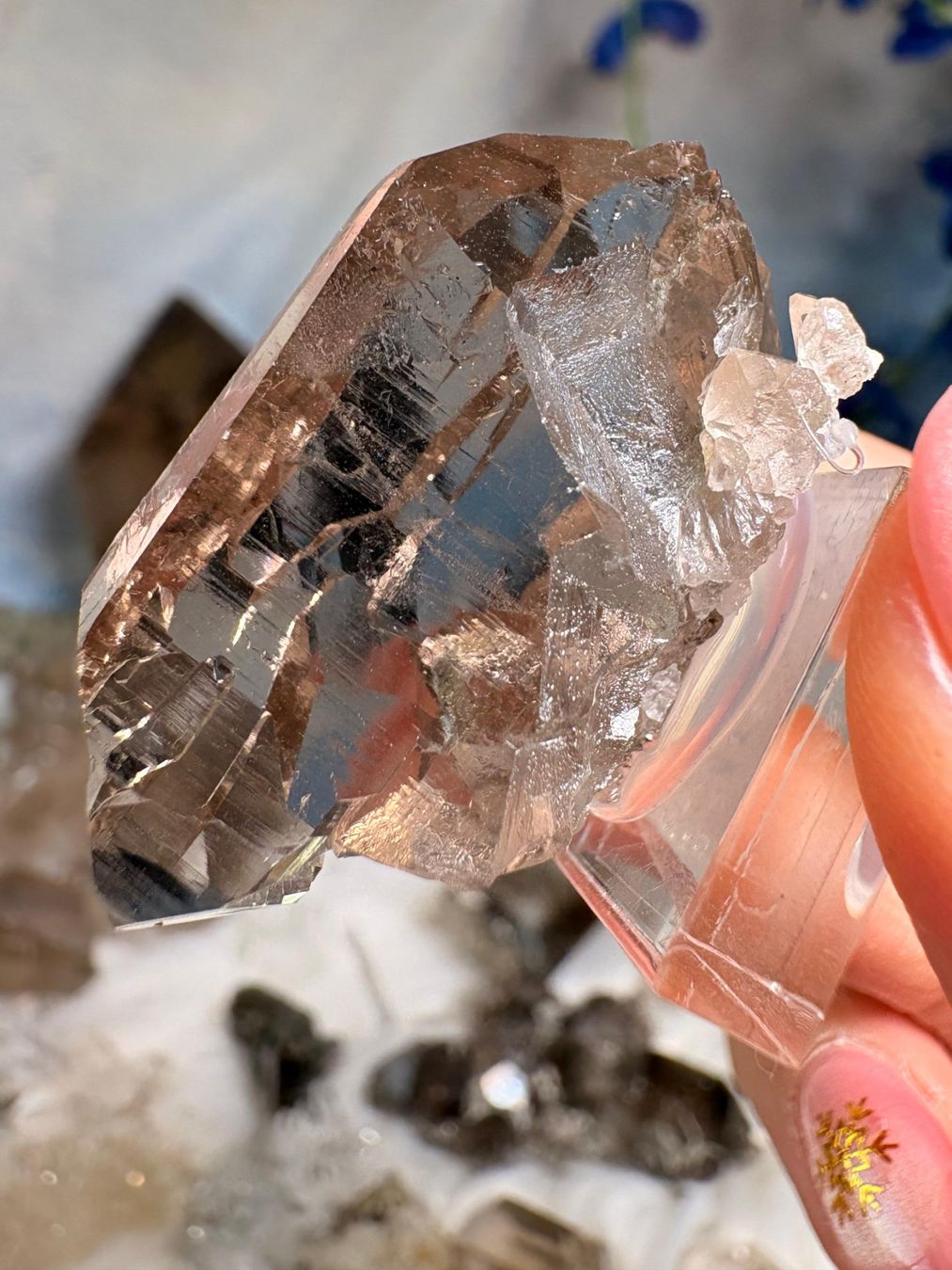 Pietre preziose: Rauchquarz Gwindel Grimelpass – Nuovo e nell'imballaggio originale da Neuheim venduto da m.hald 2