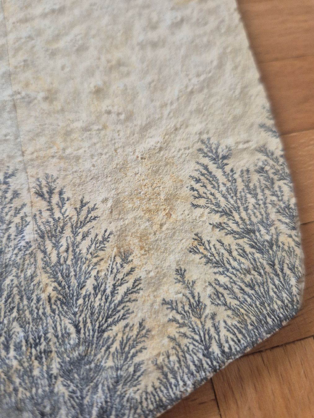 Fossiles: Fossil Dendriten Platten – D'occasion à Erlenbach ZH par Marielou222 2