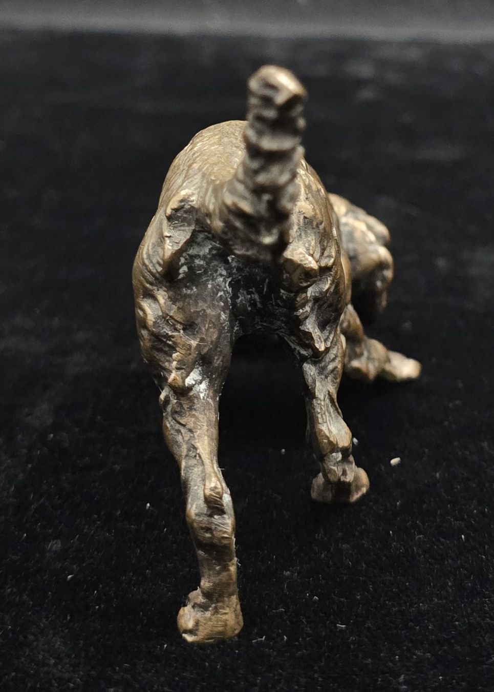 Sculture & Statue: Bronze Skulptur Hund – Usato da Rorschacherberg venduto da snOOpydOg11 4