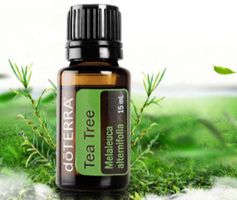 Olio essenziale Tea Tree (melaleuca) doterra