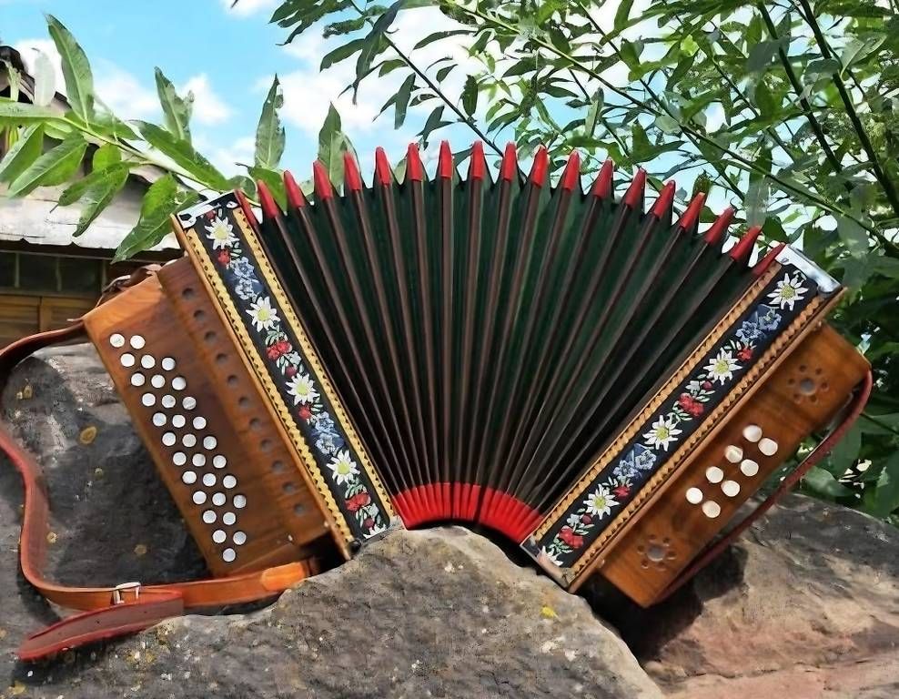 Instruments de musique: Schwytsoise – D'occasion à Ferlens VD par Cannelle1