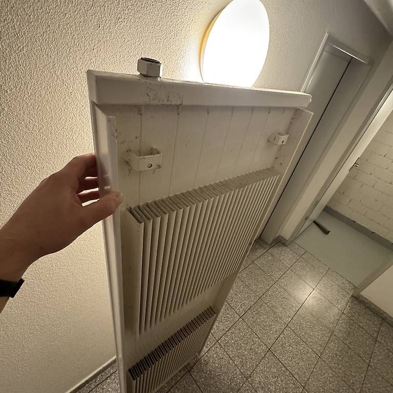 Radiatori: Heizkörper / Radiator – Usato da Wil SG venduto da Dshopping 1