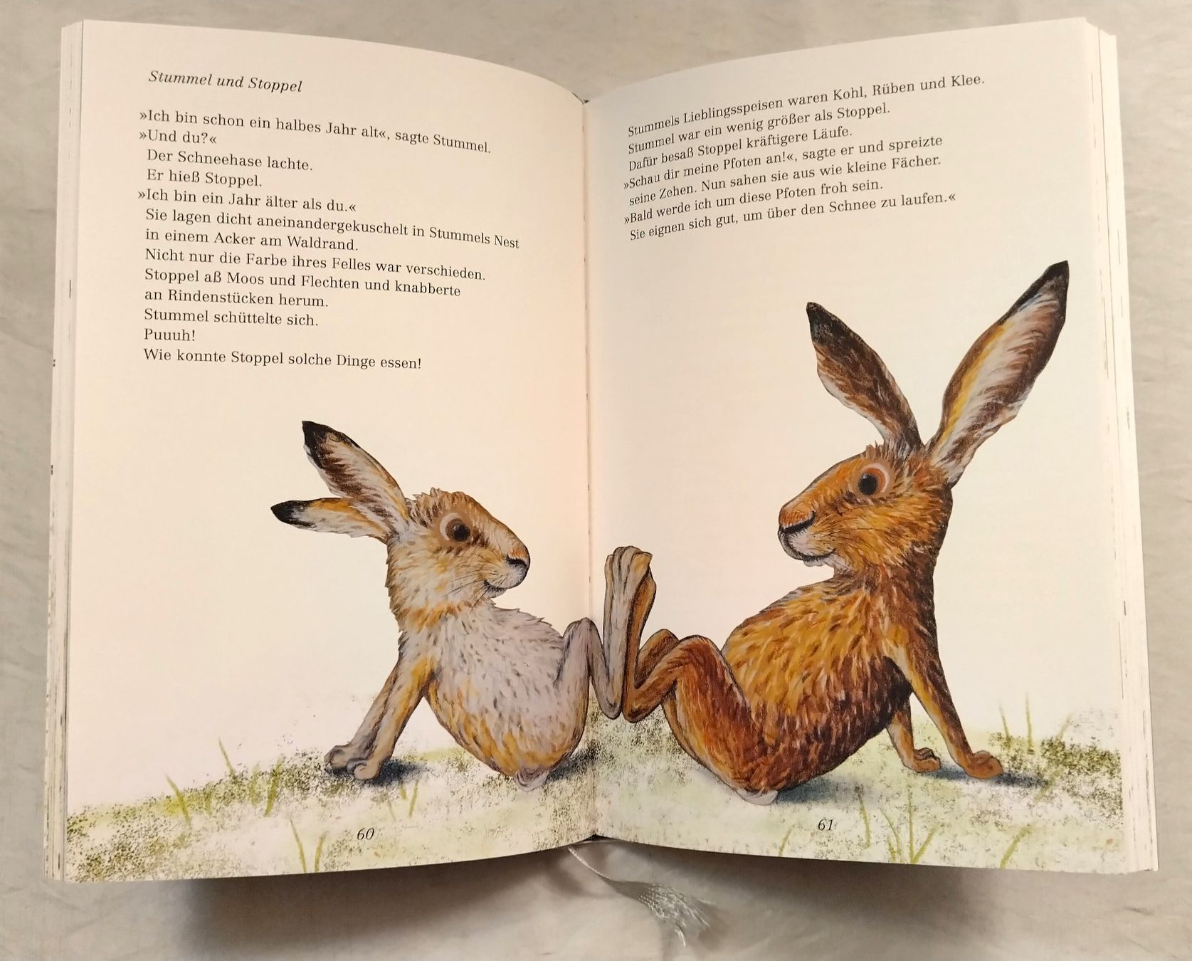 Bücher: Hase Stummel, ein Hasenkind wird gross / Kathrin Schärer – Gebraucht aus Bellach von JingleJerry 3