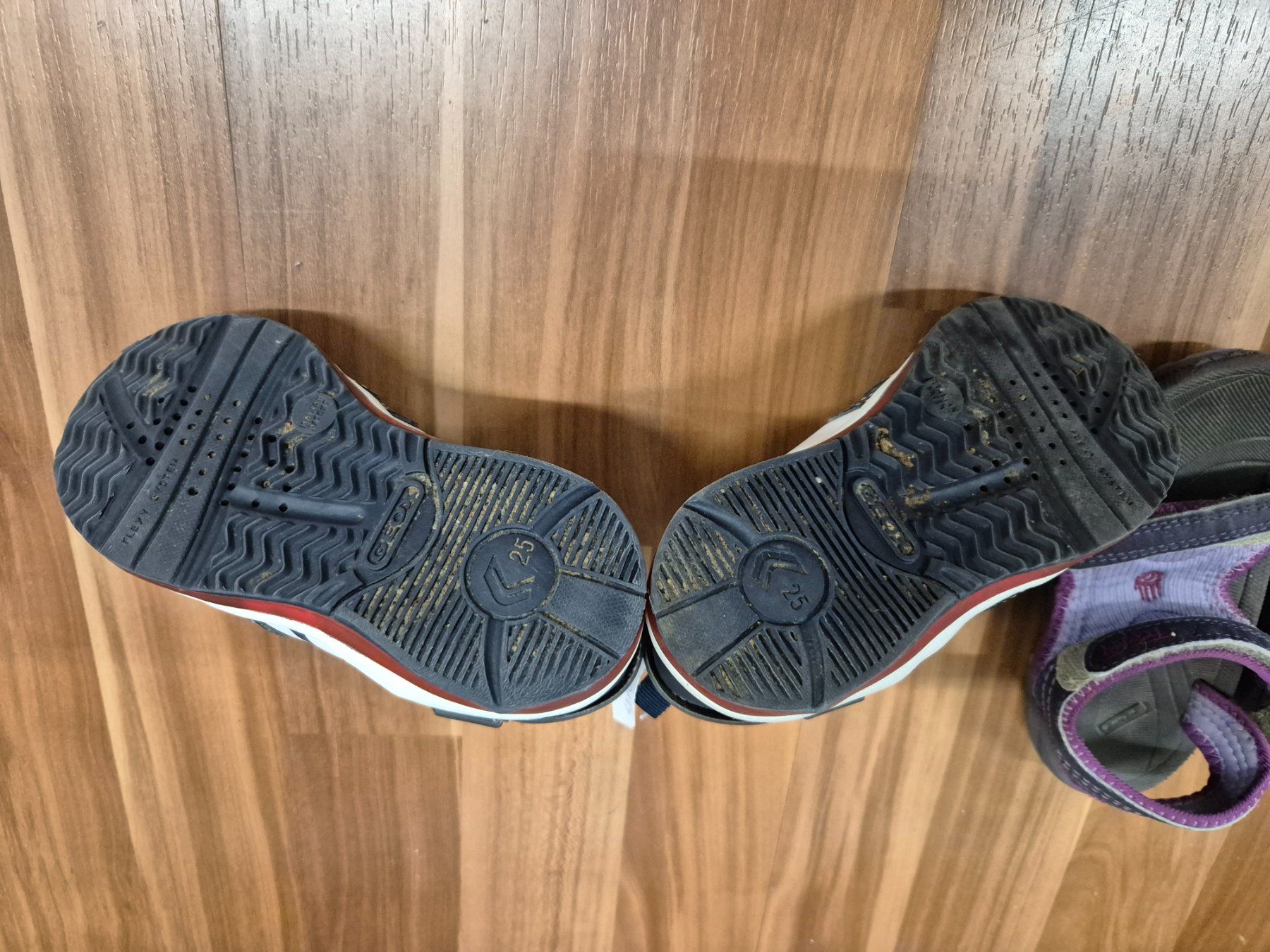 Geox Scarpe per ragazzi: Geox Schuh oder Teva Sandale gr 25 B3 – Usato da Schwarzenburg venduto da Sunny0290 1