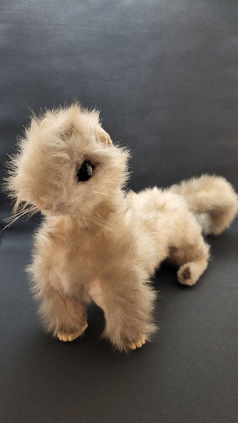 Steiff Giocattoli: STEIFF Wiesel Minky – Usato da Basel venduto da spinne02 1