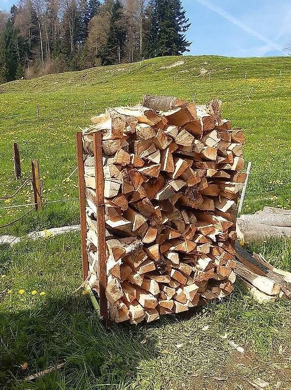 Articoli in legno:   Brennholz/Chemineeholz 33cm – Usato da Schachen LU venduto da Zuki-336 3