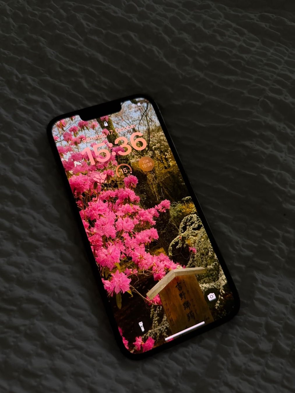 Apple Telefoni cellulari / Smartphones: iPhone 13 Pro 256GB – Usato da Brugg AG venduto da Kirusou 1
