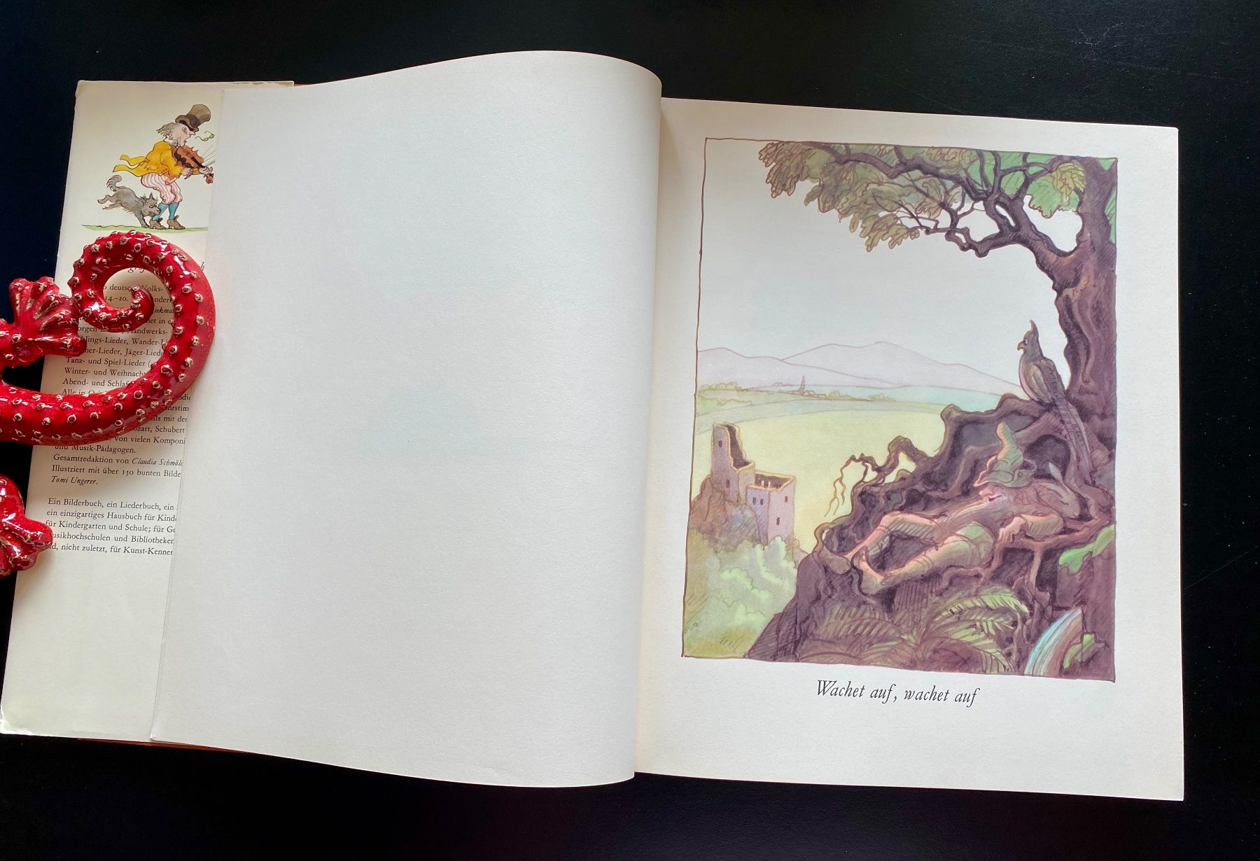 Libri: Das grosse Liederbuch Jg.1977 – Usato da Nussbaumen AG venduto da schuba2000 4