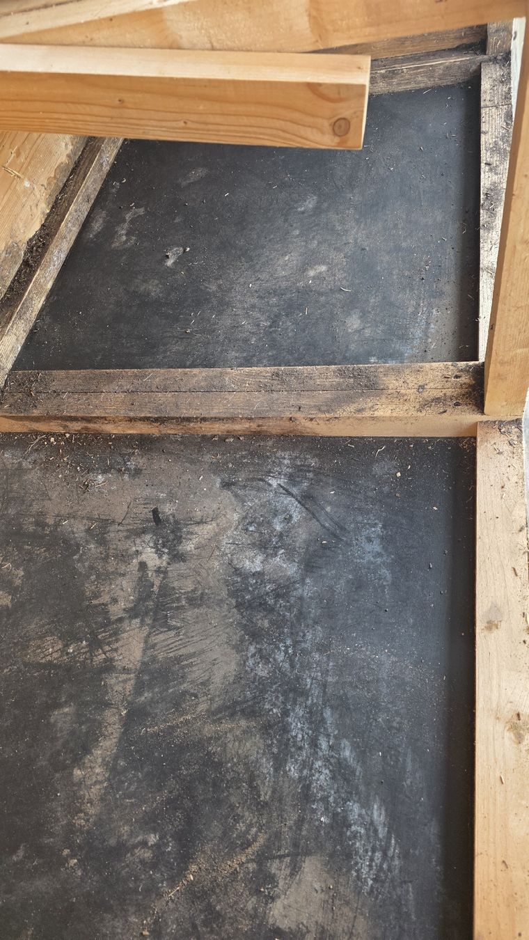 Gabbie, trasporto & Sicurezza: Meerschweinchenstall – Usato da Ossingen venduto da hoopie 7