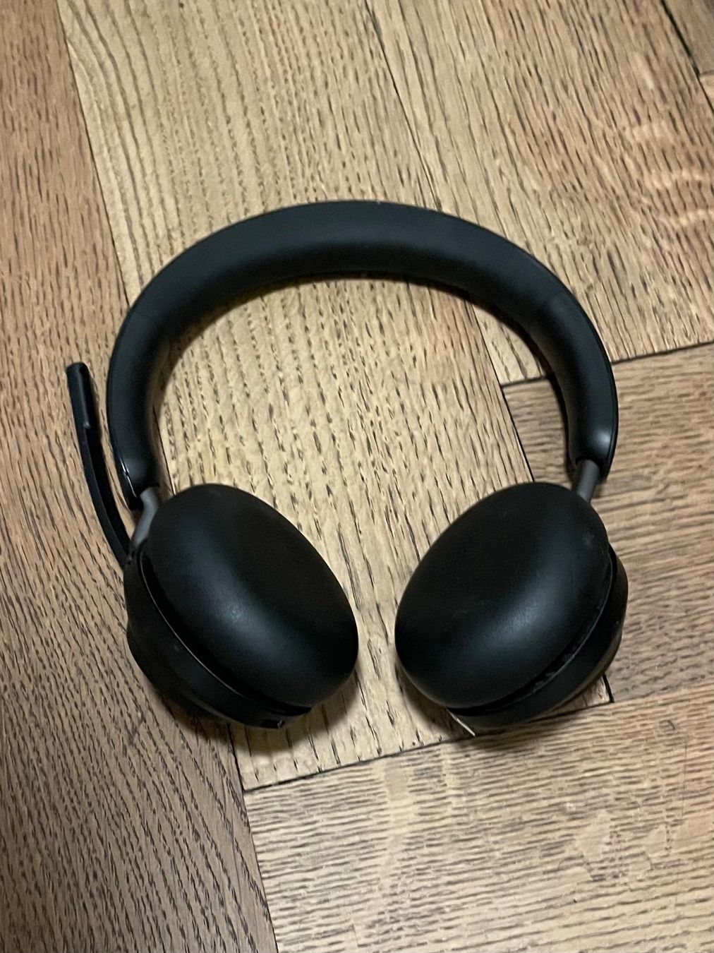 Jabra Casques audio: Jabra Evolve2 65 Kopfhörer – D'occasion à Zürich par serainadenoth 1