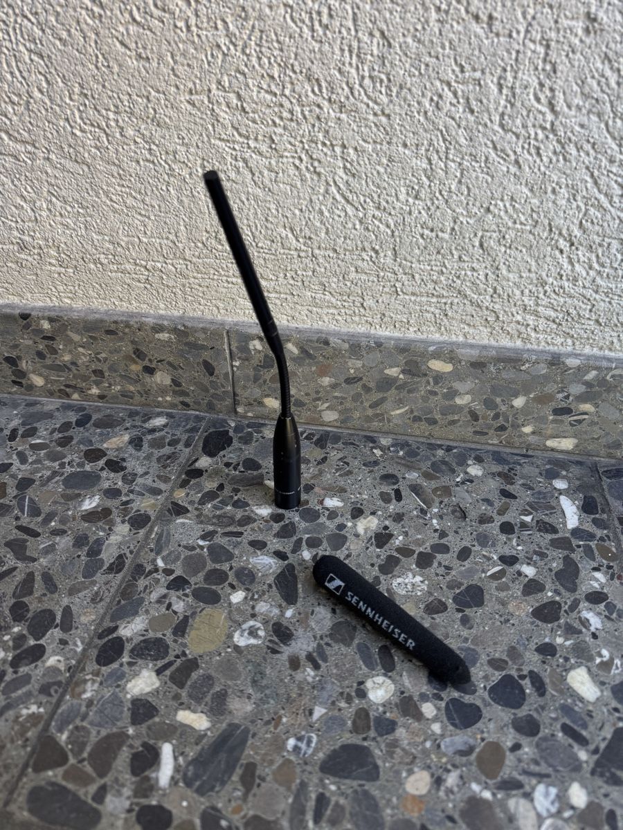 Sennheiser Microfoni: Sennheiser ME 36 + MZH 3015 Microphone – Usato da Bern venduto da A.W.S.R