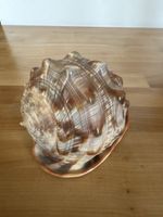 grosses Schneckenhaus / Meeresschnecke / Muschel