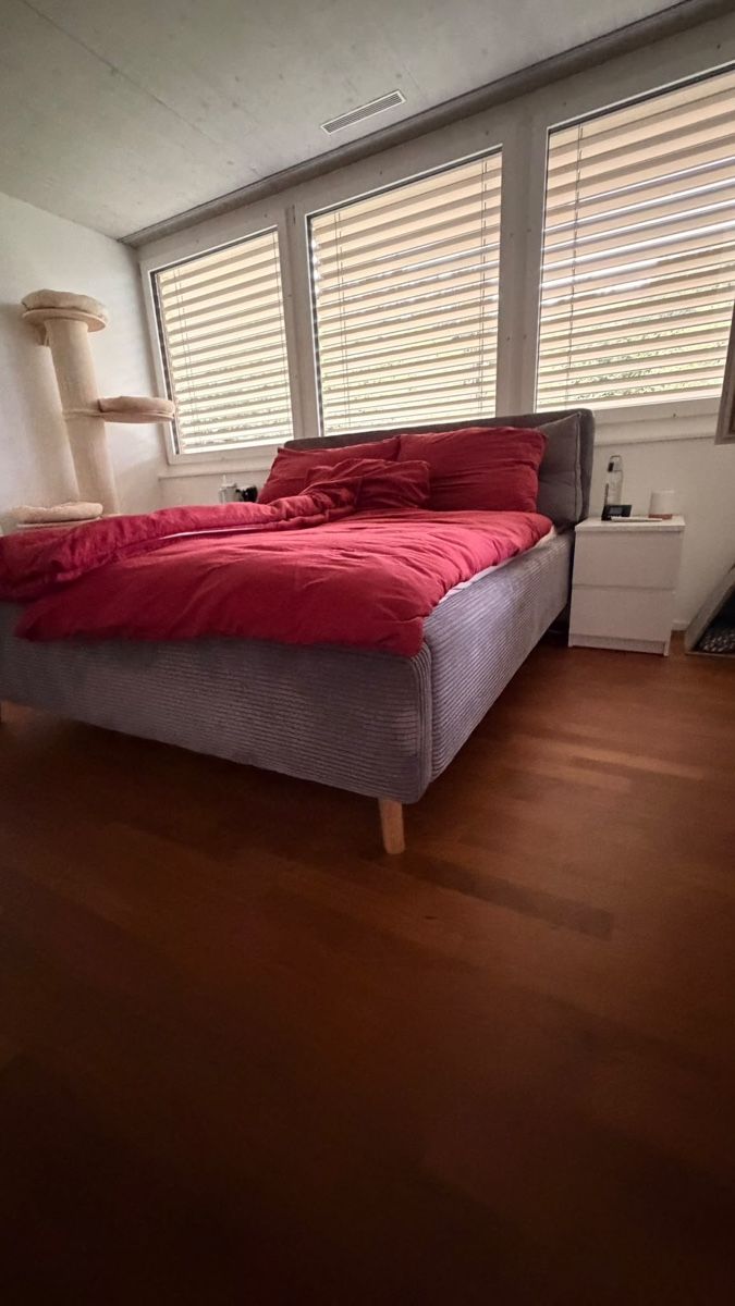 Letti: Graues Cord Bett – Usato da Luzern venduto da Noah69Ar 2