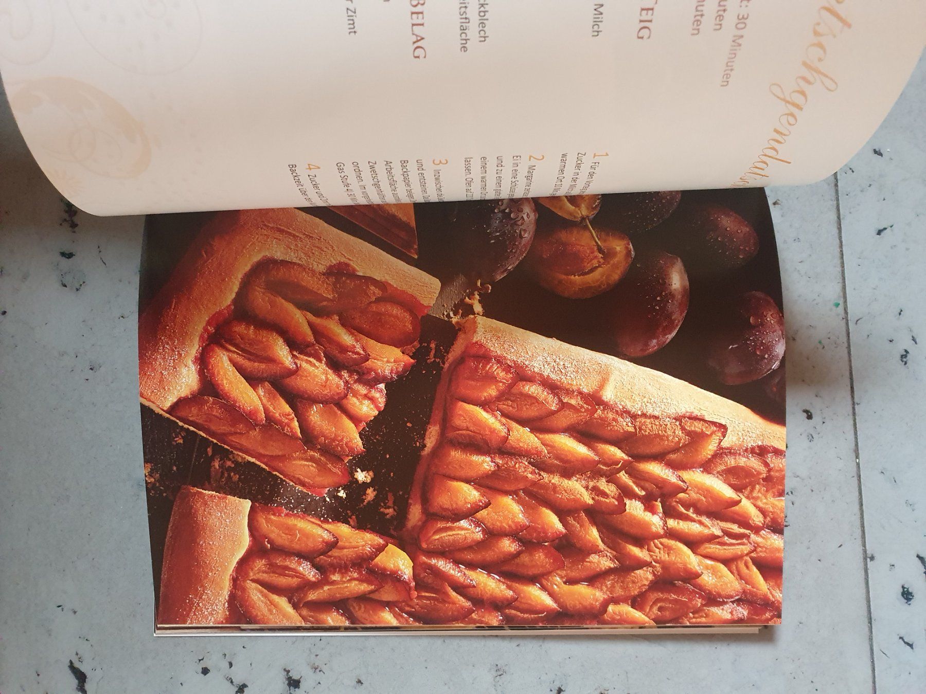 Libri: Blechkuchen Rezeptebuch – Usato da Moosseedorf venduto da Sonnenschein.. 5