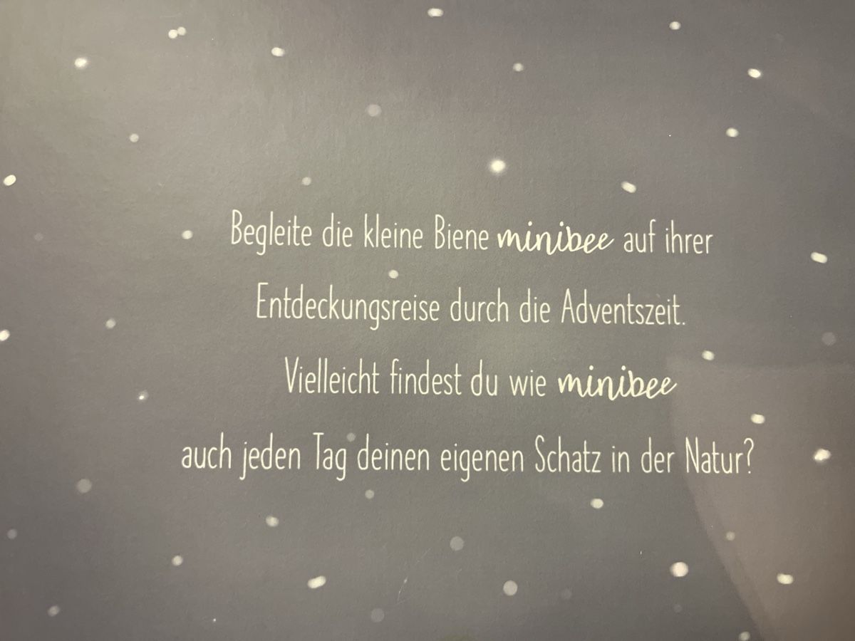 Libri: Adventskalender Buch mit Bildern und Vers – Usato da Andelfingen venduto da estark 1