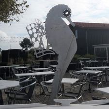 Profile image of Seepferd33