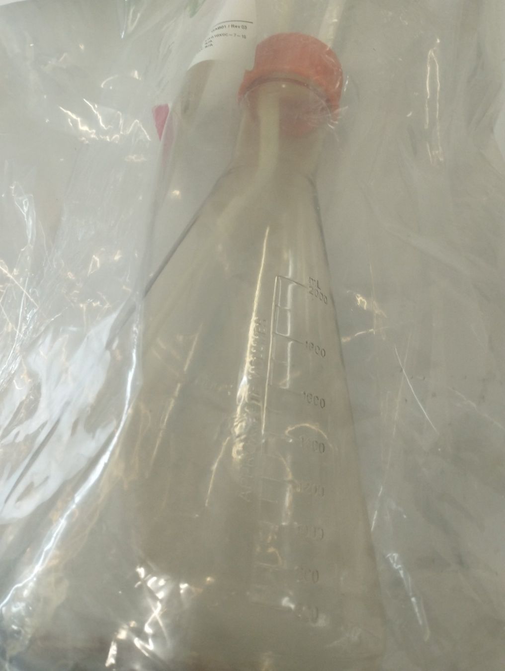 Tutte le macchine: 1 x 4 Stk. BioSimplex 2 L Erlenmeyer Flask System – Nuovo e nell'imballaggio originale da Schupfart venduto da philippb06 1