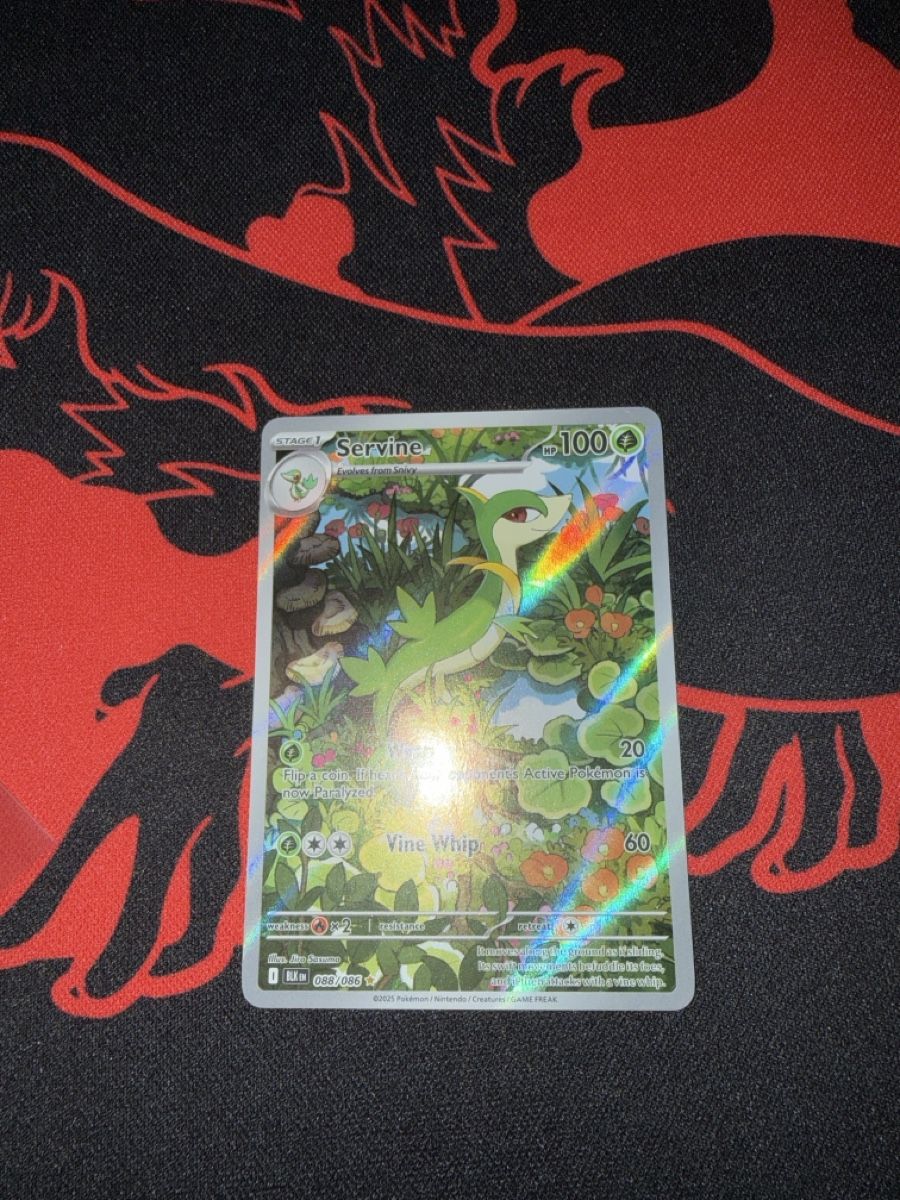 Pokémon Carte collezionabili: servine EN – Nuovo (secondo la descrizione) da Basel venduto da ari_s727