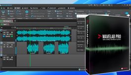 Steinberg Wavelab Pro 13 Lizenz