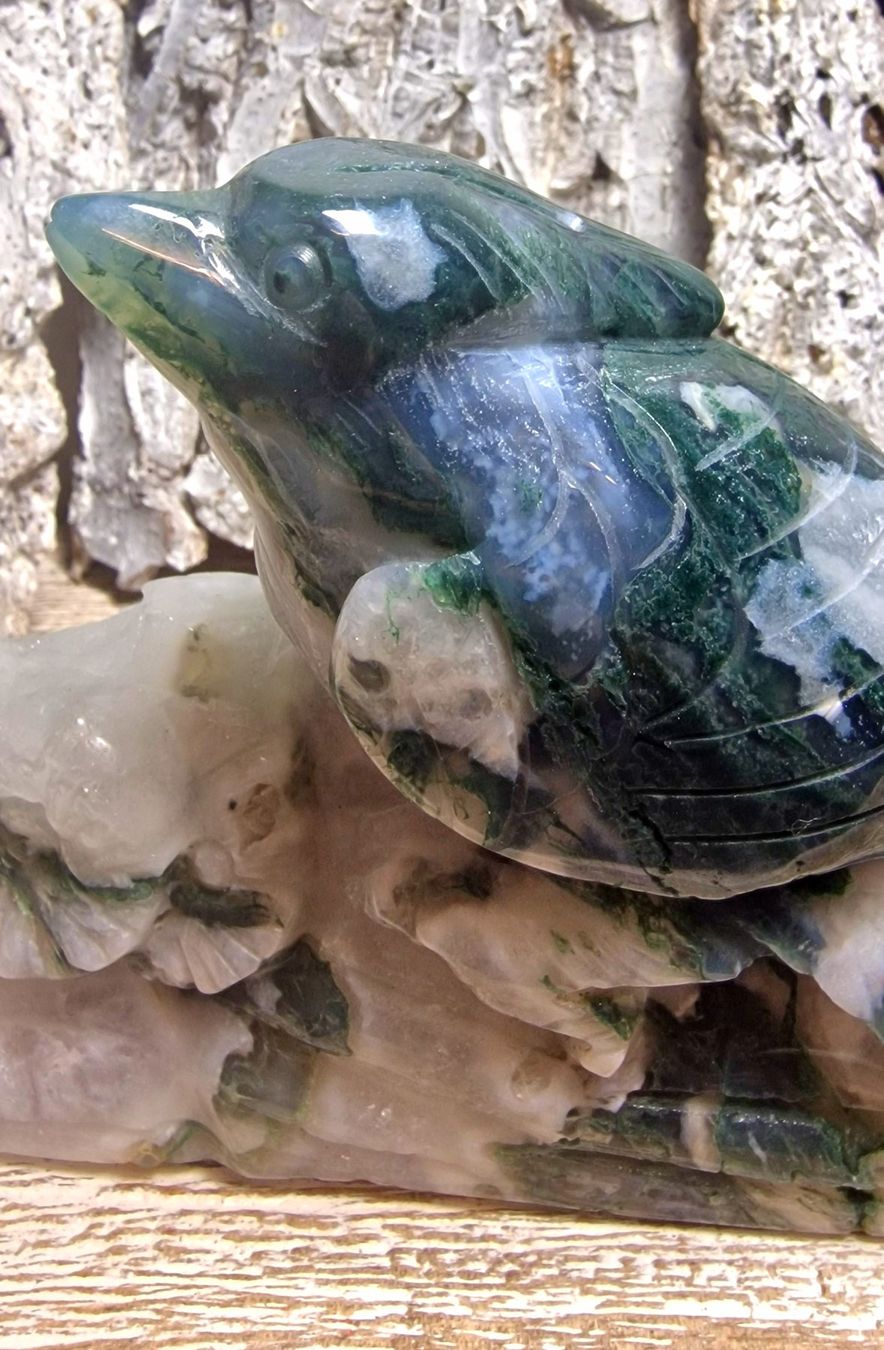 Minerali & Pietre curative: Moosachat Vogel 755g – Nuovo (secondo la descrizione) da Matzingen venduto da Shay_Crystalz 2