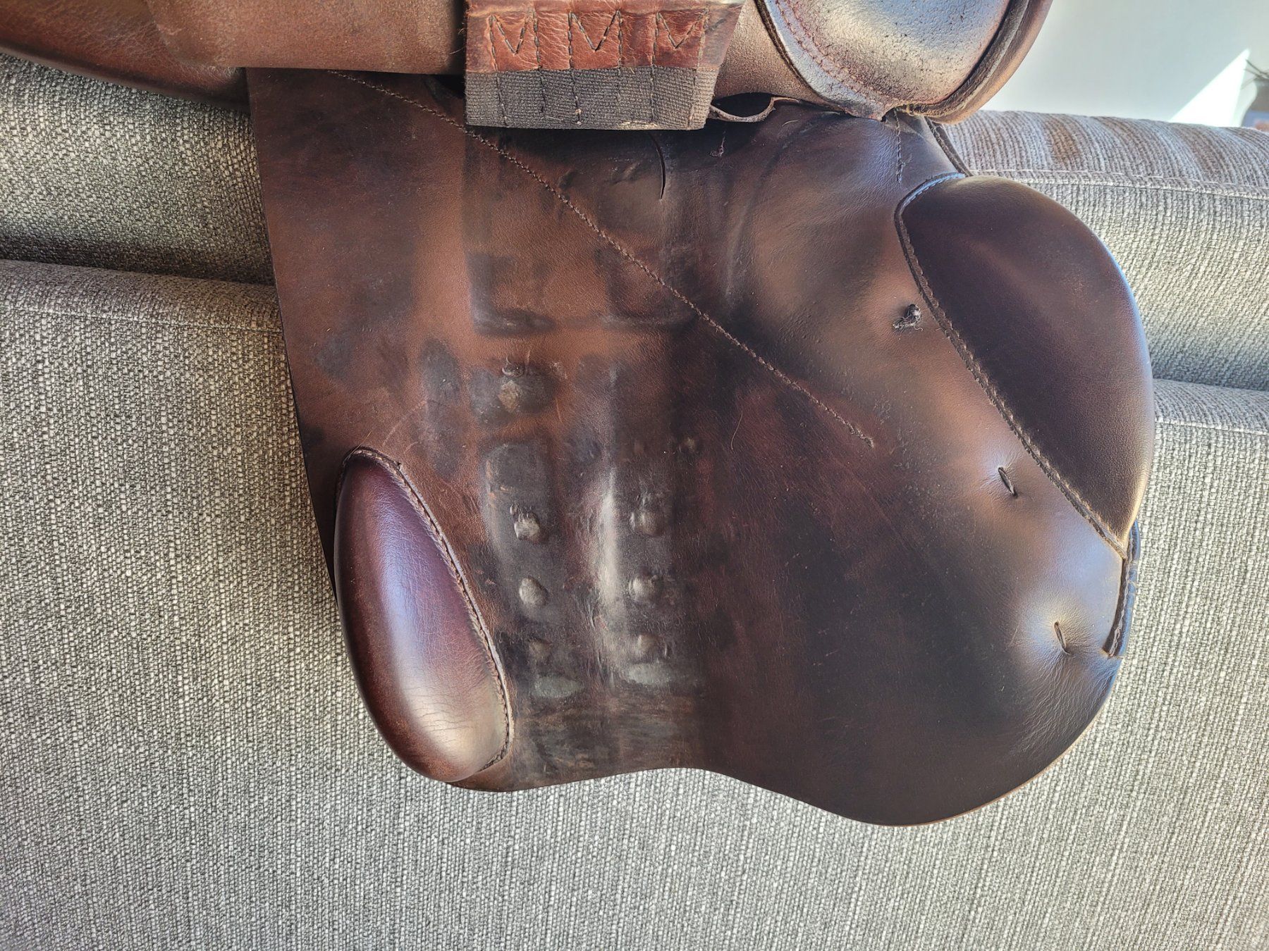 Selle & Accessori: Springsattel Prestige Elastic Professional – Usato da Höfen b. Thun venduto da T.Balvi 2