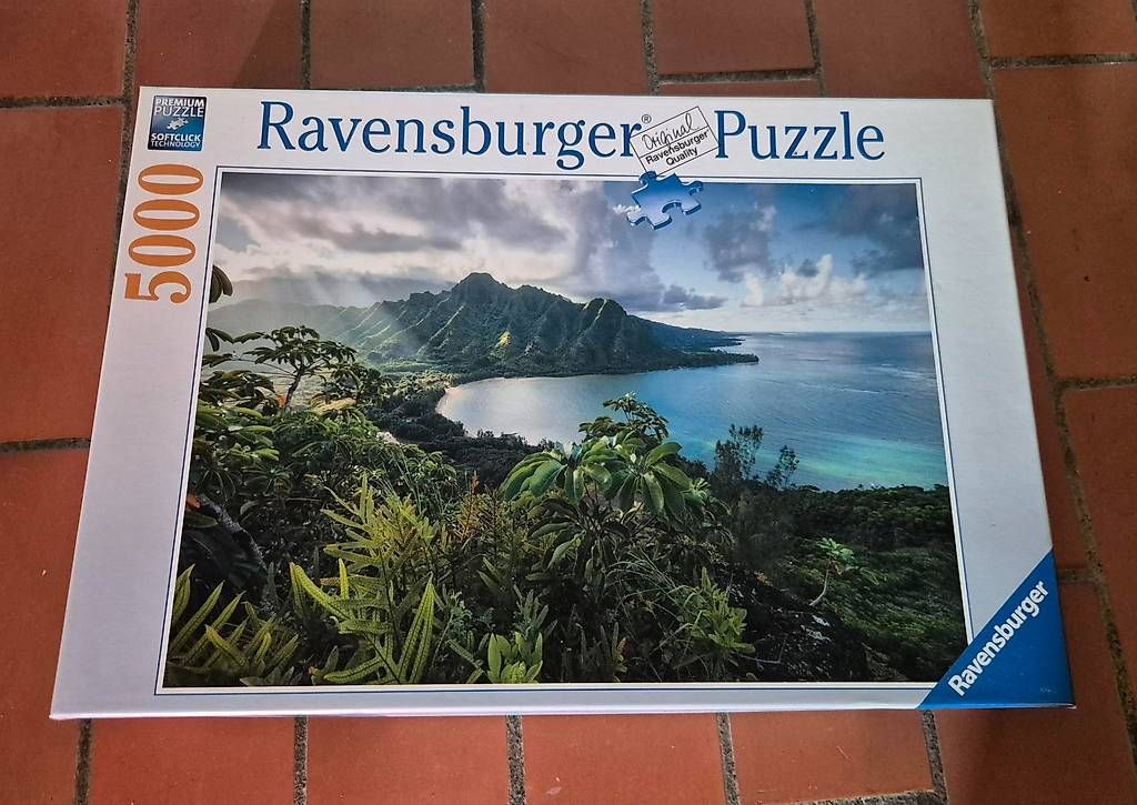 Puzzle: Ravensburger 5000er Puzzle Lagune – Usato da Zürich venduto da pompiersmartin