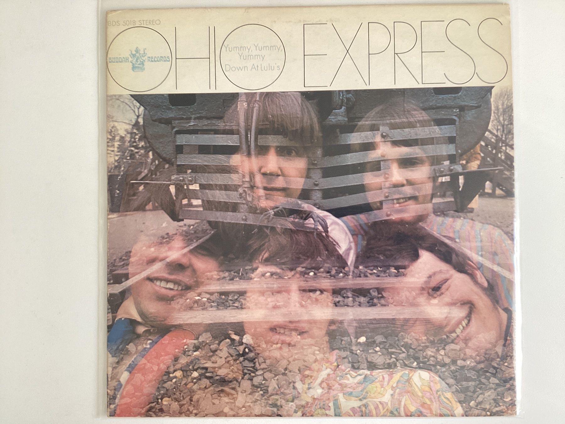 Dischi in vinile: Ohio Express LP - Yummy Yummy – Usato da Gutenswil venduto da Hamzian