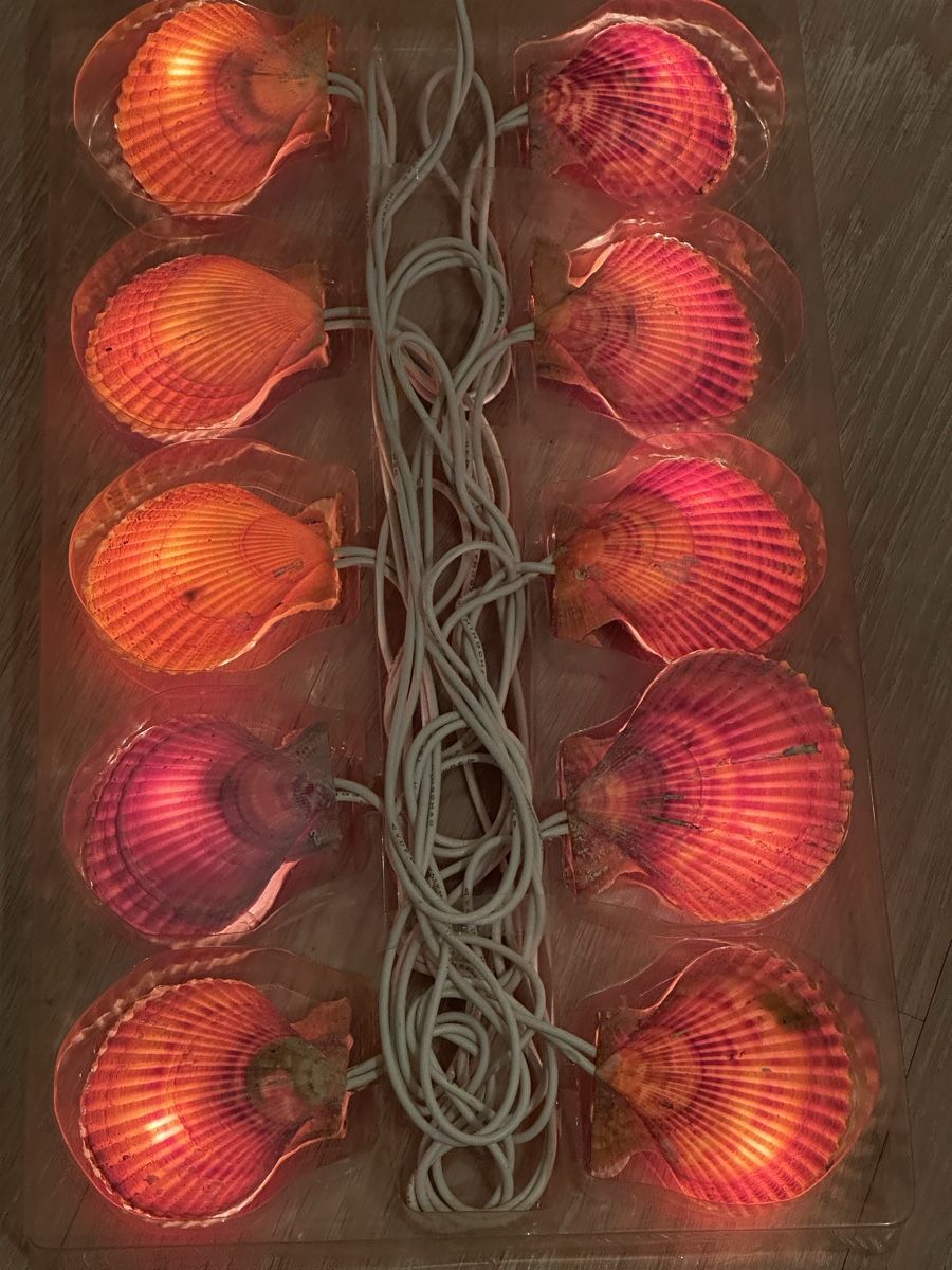 Ghirlande e barre luminose: Lichterkette mit Grosse Muscheln Neu – Nuovo e nell'imballaggio originale da Basel venduto da Ivana_4 1