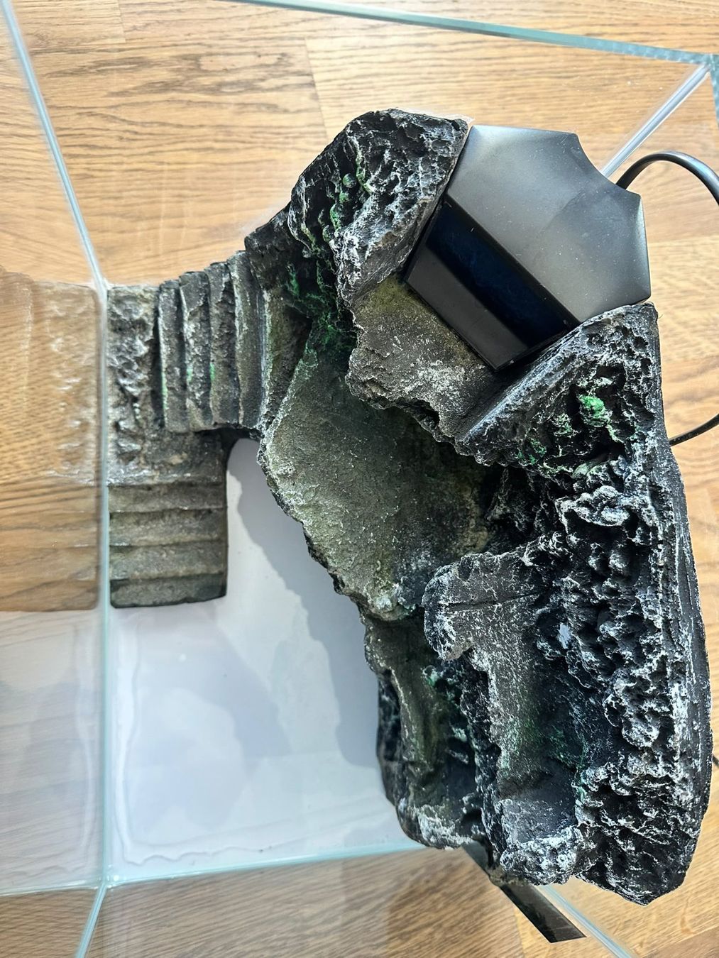 Acquari: Aquarium mit integriertem Filter – Usato da Heerbrugg venduto da Martini222 1